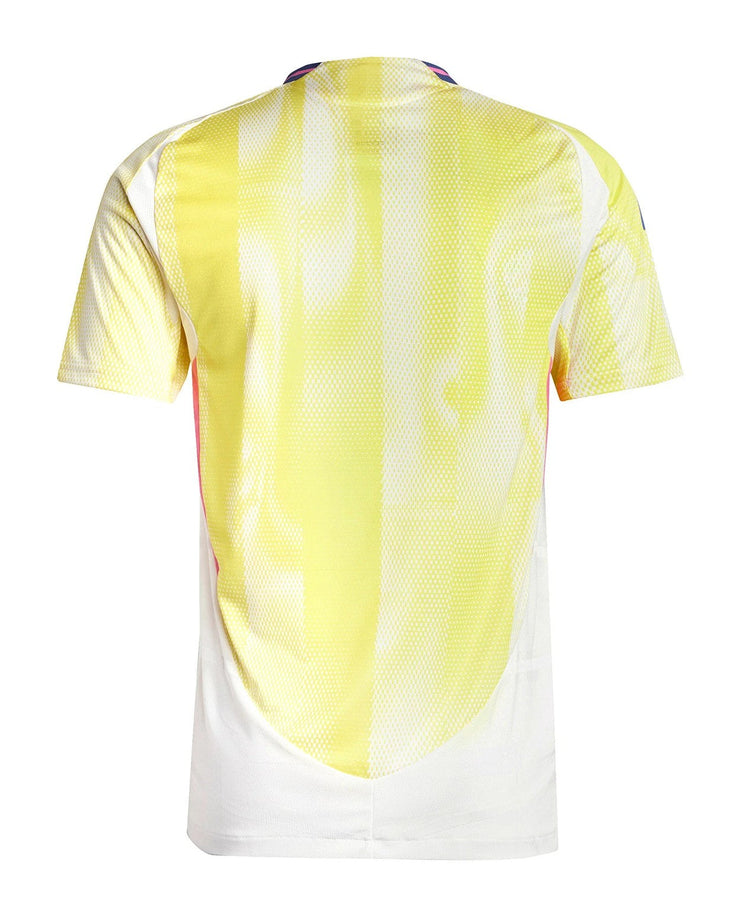 Juventus 24/25 Away Kit